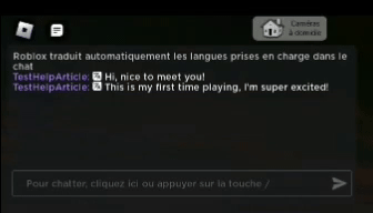 chatautomatique_demo.gif